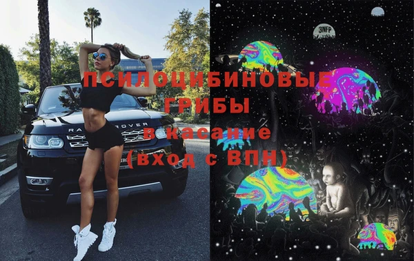 дмт Рославль