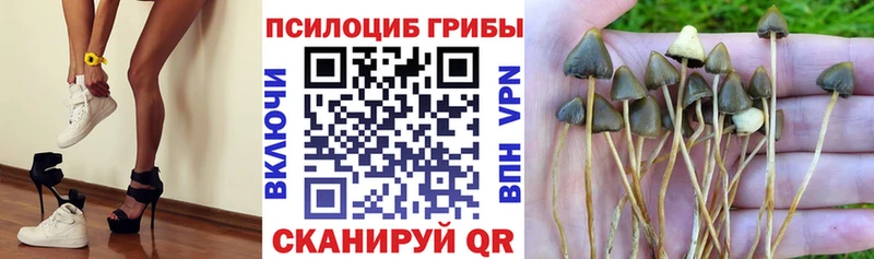 Купить закладки  Саянск  Псилоцибиновые грибы мицелий 